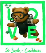 Caribbean Green diving bear - bottomless