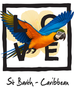 Black Parrot Caribbean