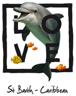 Caribbean black dolphin - bottomless