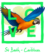 Green Parrot Caribbean