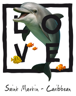 St. Martin black Dolphin