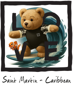 Black Surfing Bear St Martin