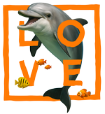Orange Dolphin Love - bottomless