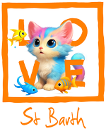 Orange St. Barth Cat