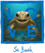 St. Barth Blue Turtle
