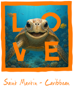 St. Martin Orange Turtle