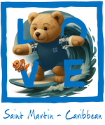Blue Surfing Bear St Martin