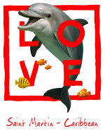 St. Martin red Dolphin