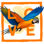 Orange parrot - Love