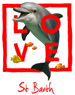 Red dolphin St. Barth - bottomless