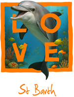 St Barth orange dolphin - with background
