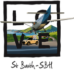 Black St Barth Airport - no sky