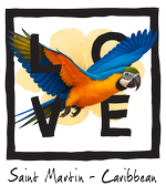 Black Parrot St Martin