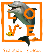 St. Martin orange Dolphin
