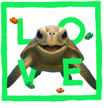 Green Turtle LOVE - Bottomless