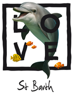 Black dolphin St. Barth - bottomless