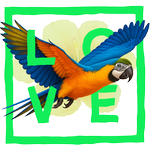 Green parrot - Love