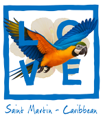 White Parrot St Martin