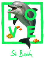 Green dolphin St. Barth - bottomless