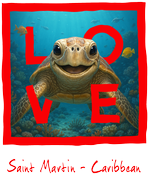 St. Martin Red turtle