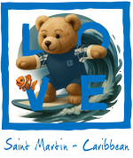 Blue Surfing Bear St Martin