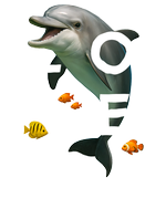 St. Martin white Dolphin