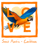 Orange Parrot St Martin