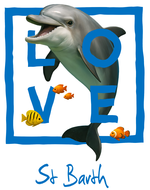 Blue Dolphin St. Barth - Bottomless