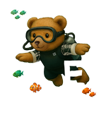 Caribbean white diving bear - bottomless