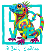 Caribbean turquoise iguana