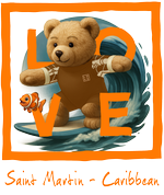 Orange Surfing Bear St Martin