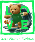 Green Surfing Bear St Martin