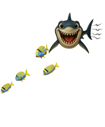 White shark St Barth