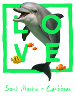 St. Martin green Dolphin