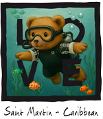 Black Diving Bear St Martin