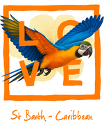 Orange Parrot Caribbean