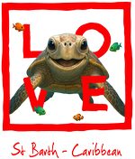 Caribbean Red Turtle - bottomless