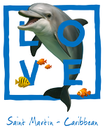 St. Martin Blue Dolphin
