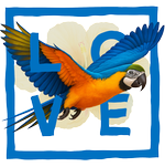 Blue parrot - Love