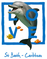 Caribbean blue dolphin - bottomless