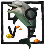 Black Dolphin Love - bottomless