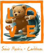 Orange Surfing Bear St Martin