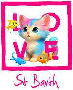 Fuchsia St. Barth Cat