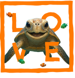 Orange Turtle LOVE - Bottomless
